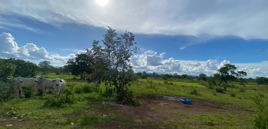 Farm for Sale in Brazil in Flores de Goias in State of Goias