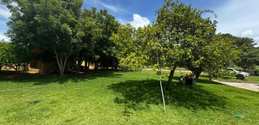 Farm for Sale in Brazil in Jandaia in State of Goias