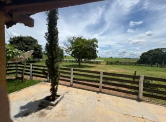 Farm for Sale in Brazil in Jandaia in State of Goias