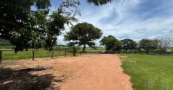 Farm for Sale in Brazil in Jandaia in State of Goias