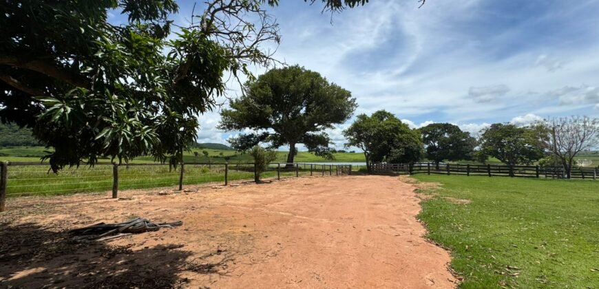 Farm for Sale in Brazil in Jandaia in State of Goias