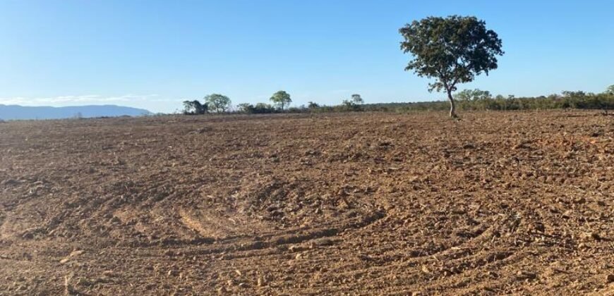 Farm for Sale in São Joao d’Aliança in State of Goias