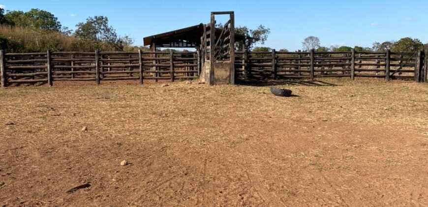 Farm for Sale in São Joao d’Aliança in State of Goias