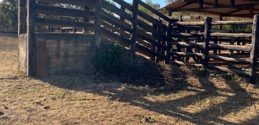 Farm for Sale in São Joao d’Aliança in State of Goias