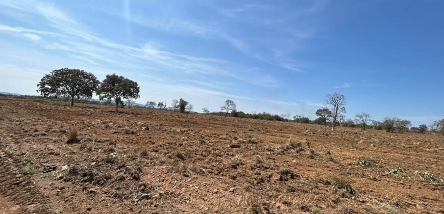 Farm for Sale in São Joao d’Aliança in State of Goias