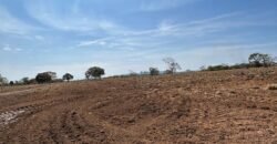 Farm for Sale in São Joao d’Aliança in State of Goias