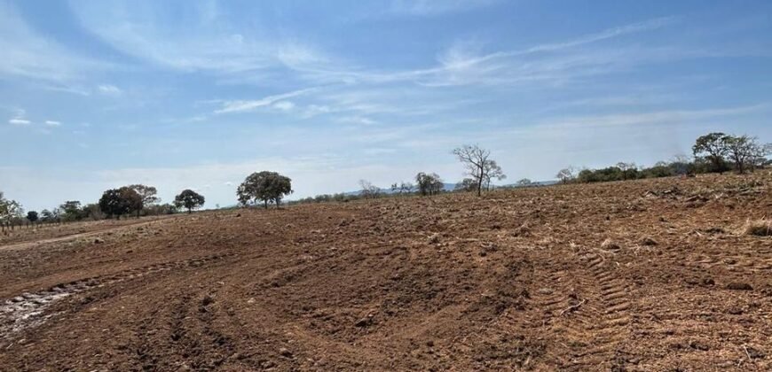 Farm for Sale in São Joao d’Aliança in State of Goias